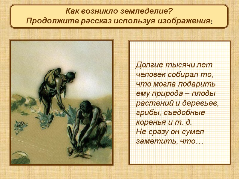 Долгие тысячи лет человек собирал то,  что могла подарить  ему природа –